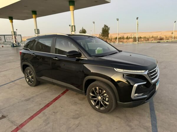 🚗 VIP Private Cars - Image 3